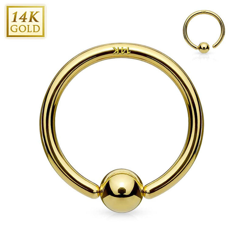 14KT Gold 14K Gold Fixed Ball Hoop Ring