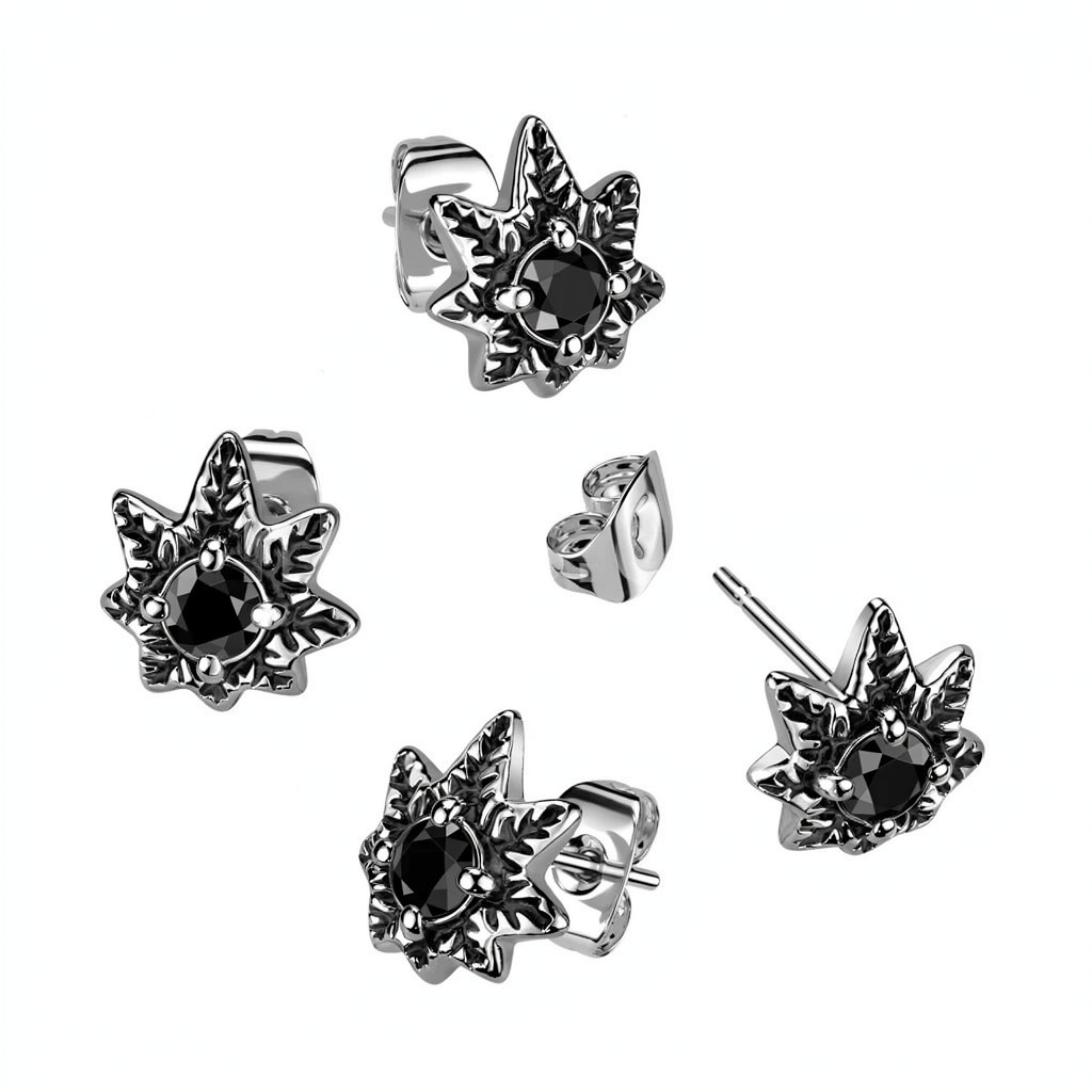 316L Surgical Steel Pair of 316L Surgical Stainless Steel Black CZ Pot...