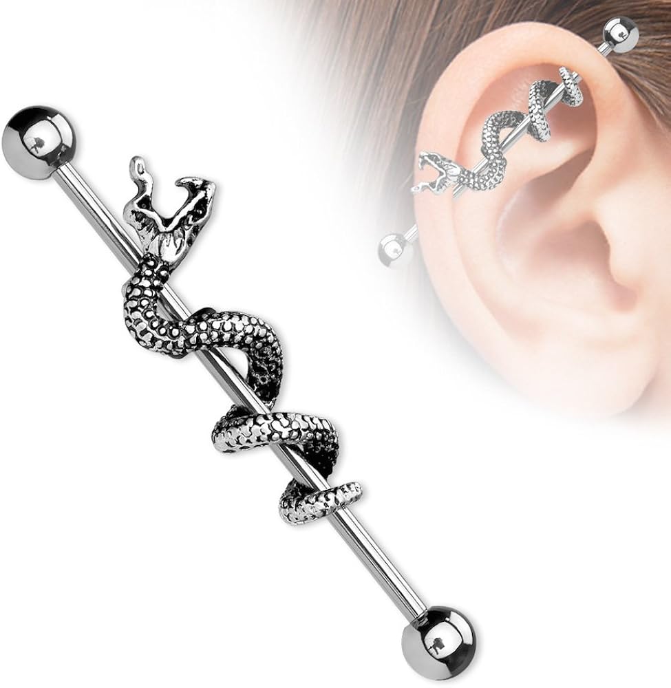 316L Surgical Steel 316L Surgical Steel Industrial Barbells With Snake