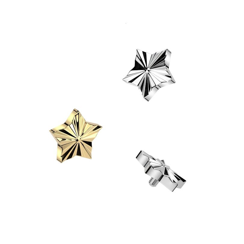 Implant Grade Titanium Internally Threaded Diamond Cut Star Top