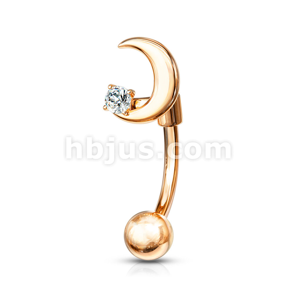 316L Surgical Steel 316L Surgical Steel Eyebrow Curved Barbell Crescent... - Image 5