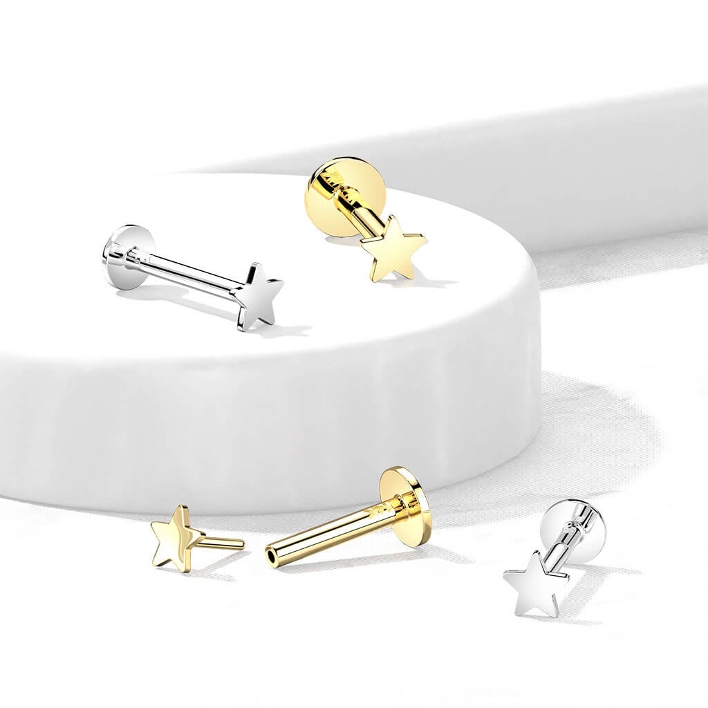 14KT Gold 14K Gold Threadless Push-In Labret With Flat Star Top