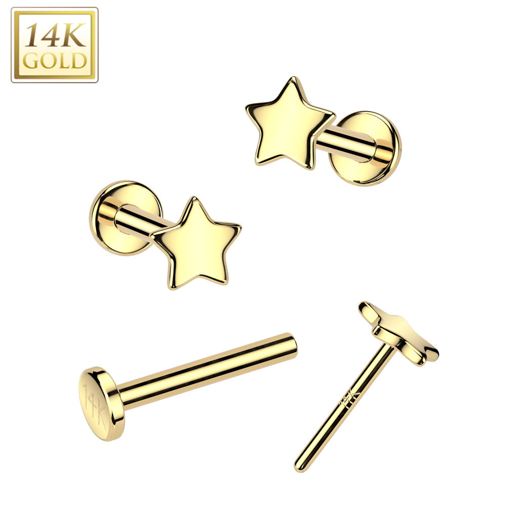 14K Gold Threadless Push In 20ga Flat Back Stud With Flat Star Top For Nose, Ear and More