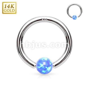 14KT  Gold 14Kt. White Gold Opal Ball Fixed Hoop Rings for Nose,... - Image 3