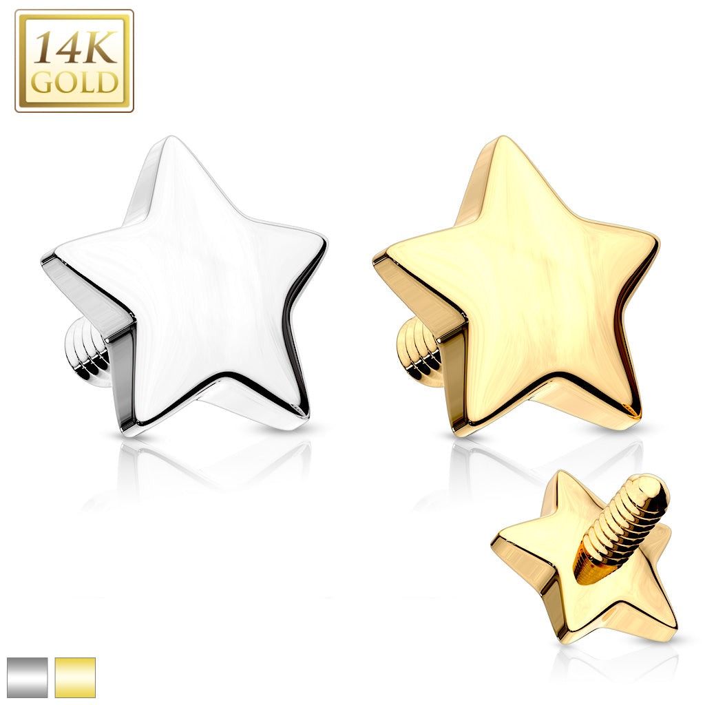 14KT Gold 14K Gold 4mm Star Dermal Top Internally Threaded