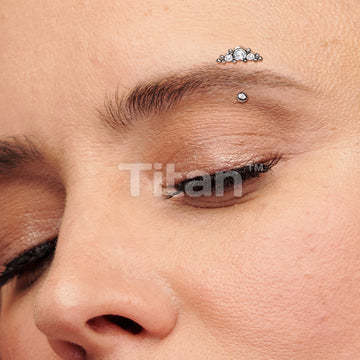 ASTM F136 Titanium Implant Grade Titanium Threadless Push In Eyebrow... - Image 9