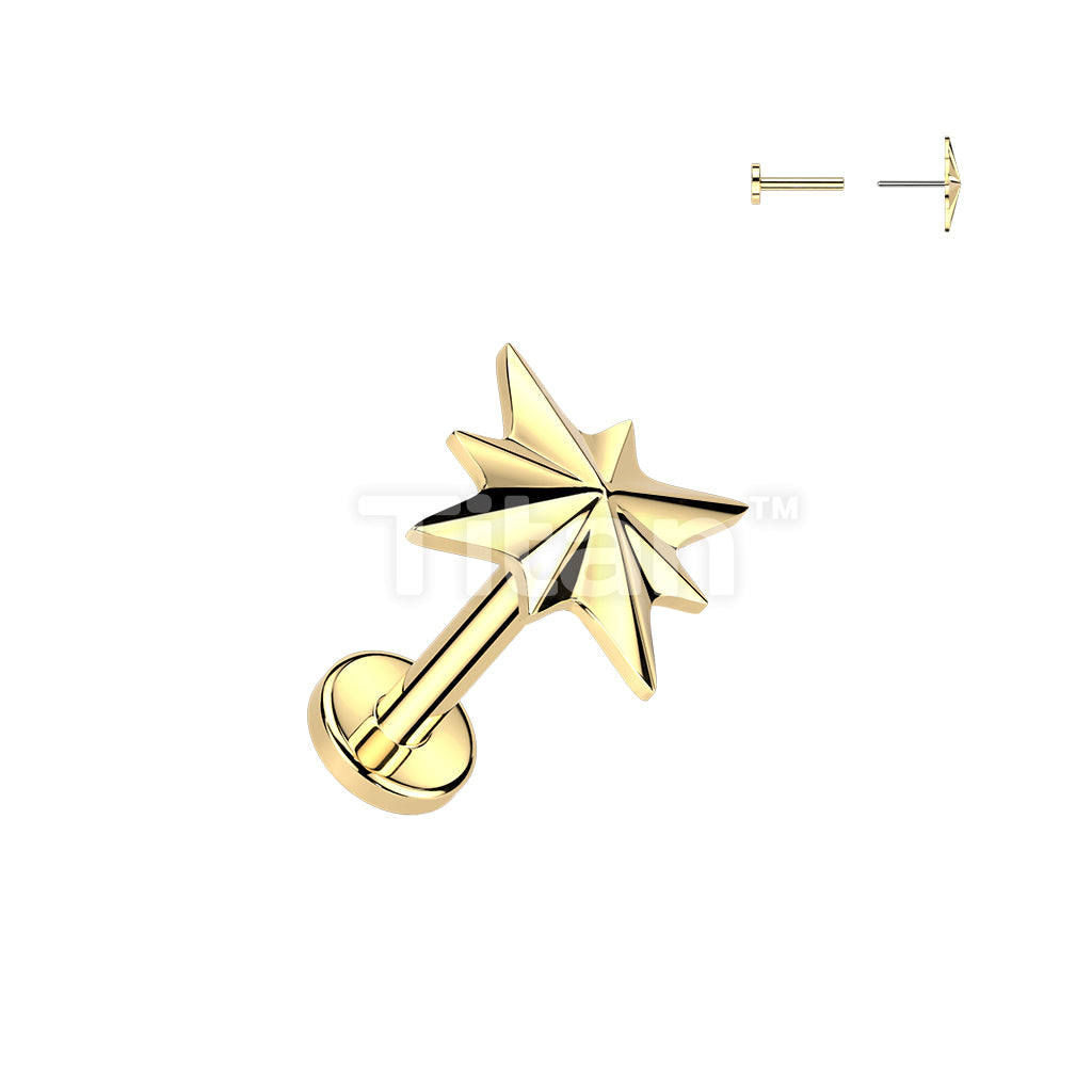Titanium Threadless Push In Flat Back Earring Stud With Starburst Top - Image 2
