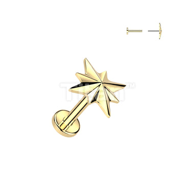 Titanium Threadless Push In Flat Back Earring Stud With Starburst Top - Image 2