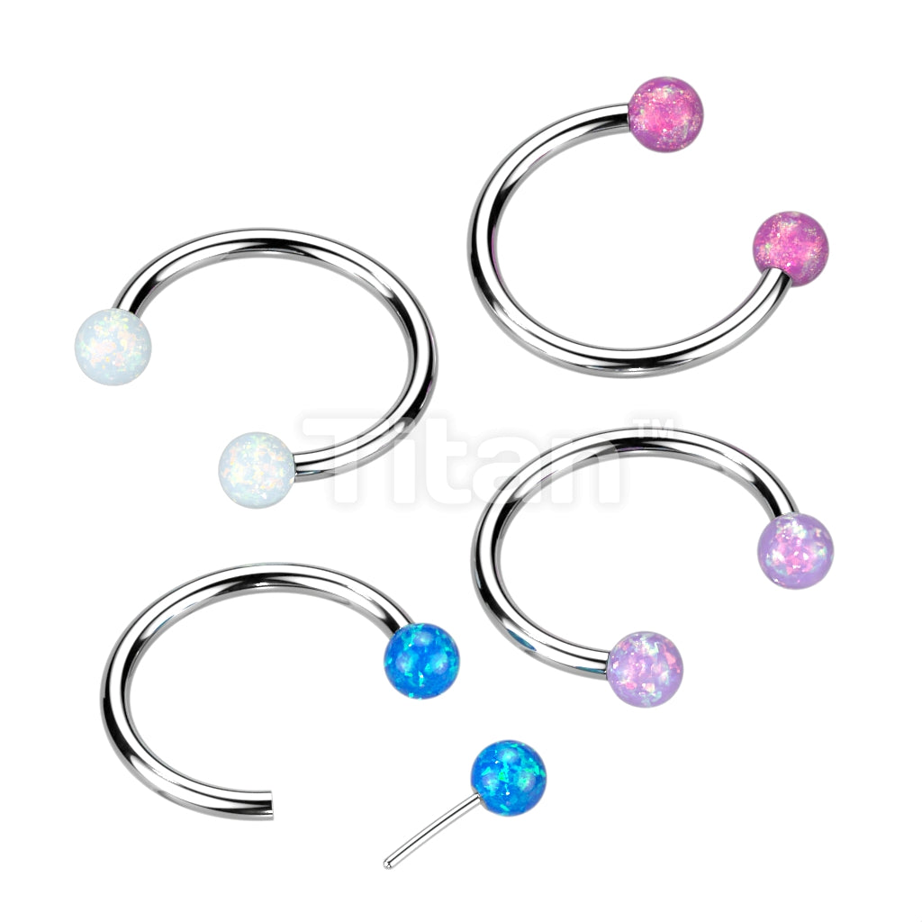ASTM F136 Titanium Implant Grade Titanium Threadless Horseshoe With...