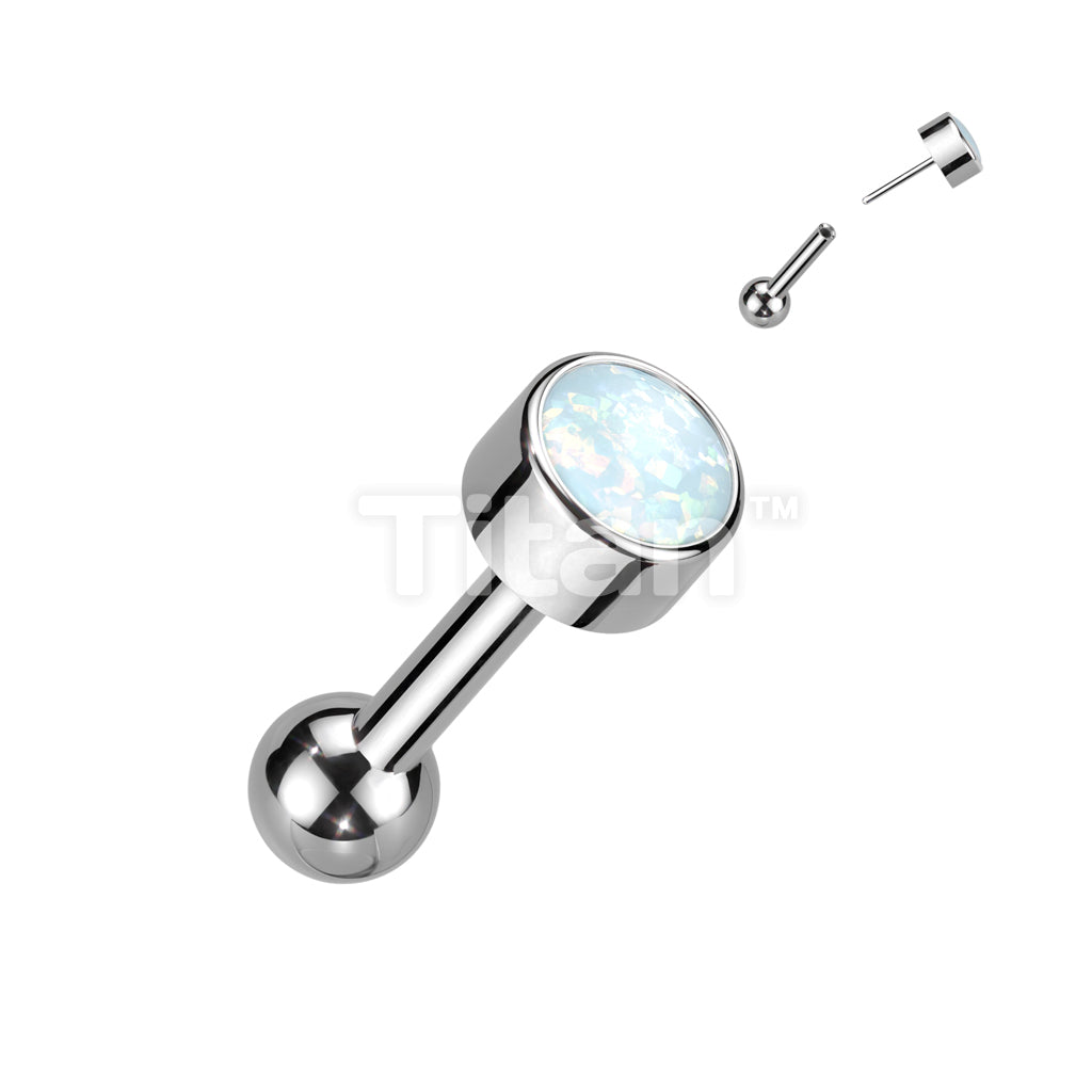 ASTM F136 Titanium Implant Grade Titanium Threadless Push In Cartilage... - Image 3