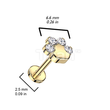 Implant Grade Titanium Threadless Push In Labret With CZ Paw Top - Image 8
