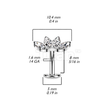 ASTM F136 Titanium Implant Grade Titanium Threadless Floating Base... - Image 8