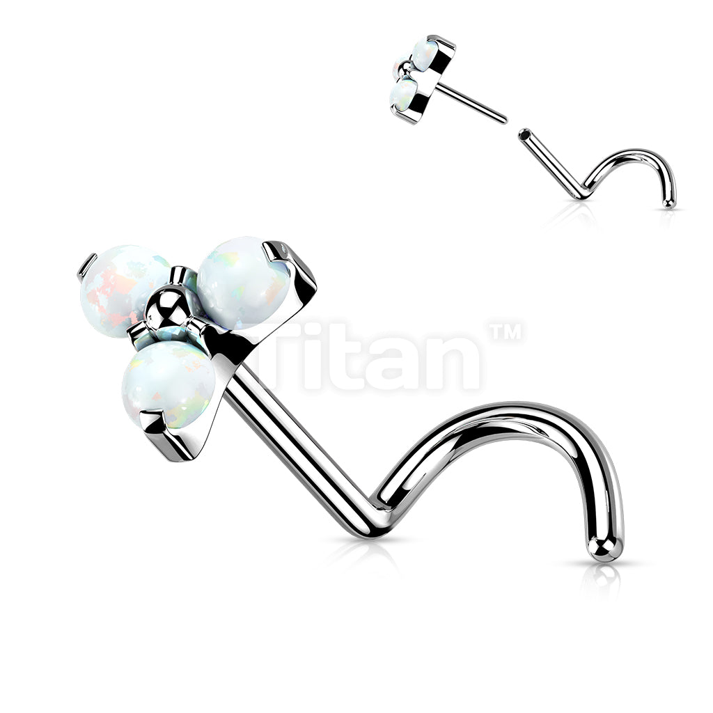 ASTM F136 Titanium Implant Grade Titanium Threadless Push in Nose Screw... - Image 4