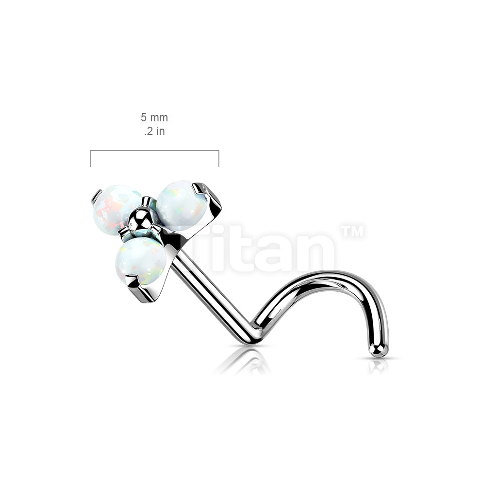 ASTM F136 Titanium Implant Grade Titanium Threadless Push in Nose Screw... - Image 5