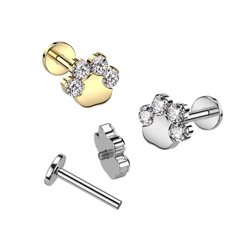 Implant Grade Titanium Internally Threaded Labret With CZ Paw Top