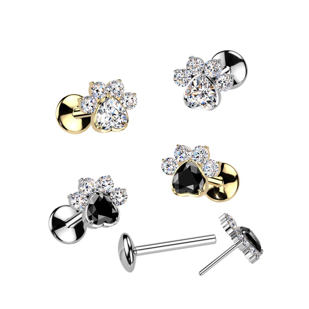 Implant Grade Titanium Threadless Push In Convex Base Labret, Flat Back Stud With CZ Paw Top