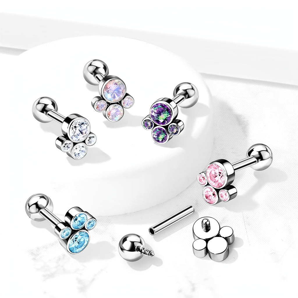 Implant Grade Titanium Internally Threaded Cartilage Barbells With Bezel Set CZ Cluster Top