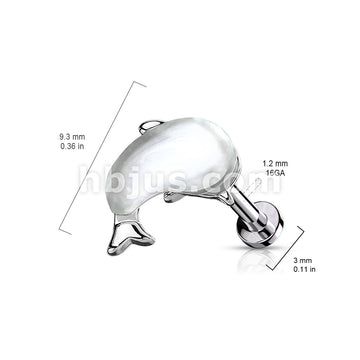 Shell Set Whale Top on Internally Threaded 316L Surgical Steel Flat... - Image 3