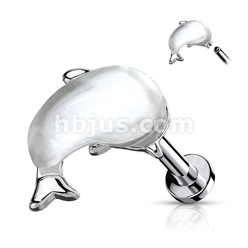 Shell Set Whale Top on Internally Threaded 316L Surgical Steel Flat... - Image 2