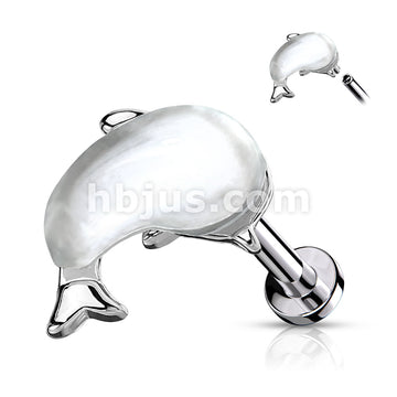 Shell Set Whale Top on Internally Threaded 316L Surgical Steel Flat... - Image 2