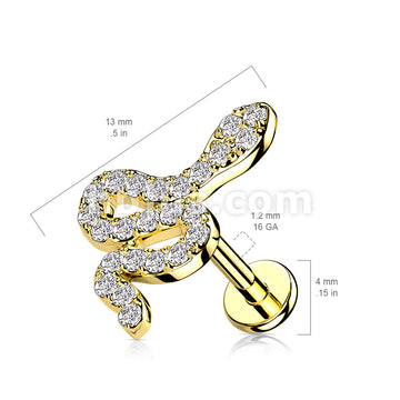 CZ Paved Small Snake Top on Internally Threaded 316L Surgical Steel... - Image 5