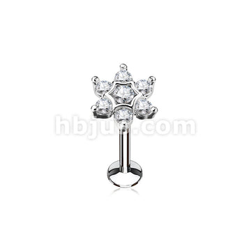 316L Surgical Steel CZ Set Star Top 316L Surgical Steel Internally... - Image 2