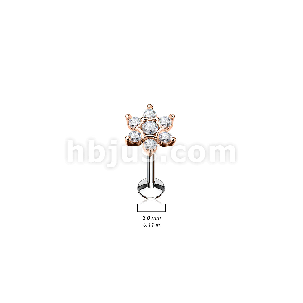 316L Surgical Steel CZ Set Star Top 316L Surgical Steel Internally... - Image 5