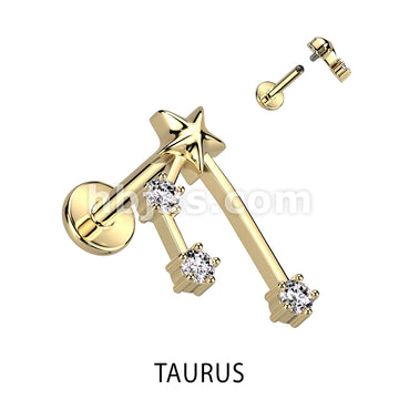 316L Surgical Steel 316L Surgical Steel Gold Plated Internally Threaded... - Image 12
