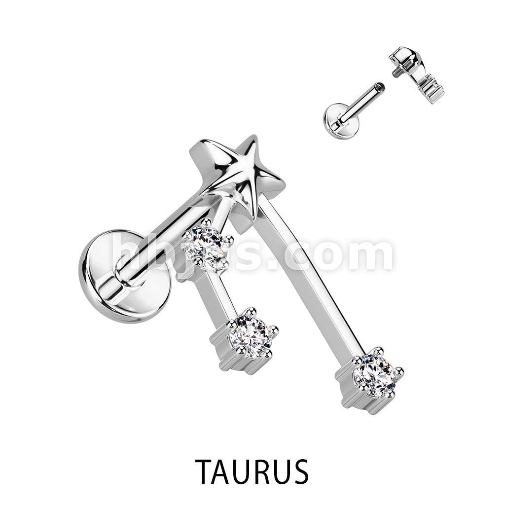 316L Surgical Steel 316L Surgical Steel Internally Threaded CZ Zodiac... - Image 12