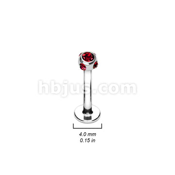 316L Surgical Steel Labret/Monroe With 5-Gem Set 4mm Ball 160pc Pack (20pcs X 8 Colors)  - Image 2
