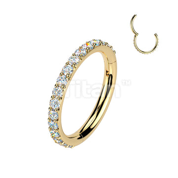 Titanium Hinged Segment Hoop Ring With Outward Facing Moissanite Pave CNC Set  - Image 2