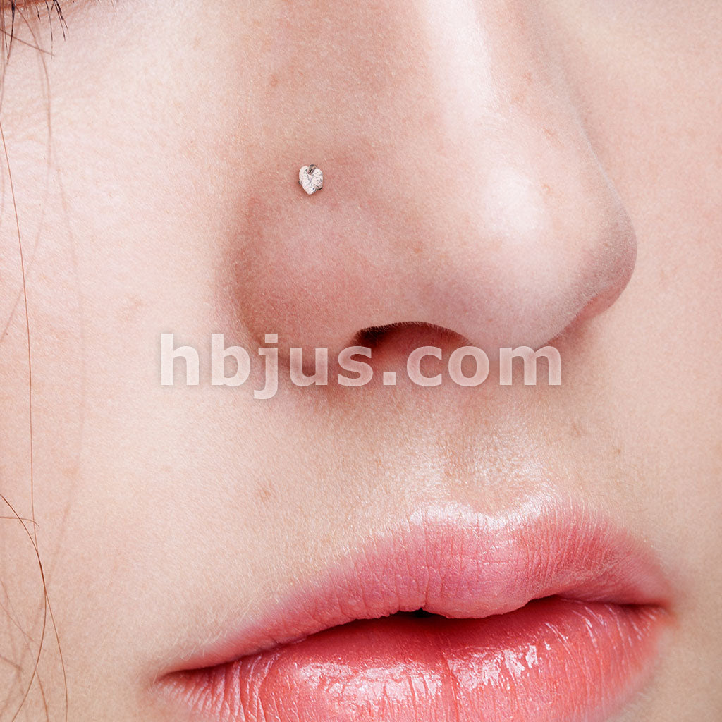 Prong Set Heart CZ Top 316L Surgical Steel Nose Screw Rings - Image 10