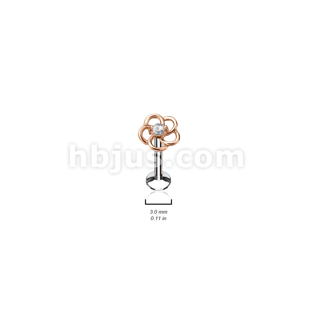 24 Pcs Pre Loaded Internally Theaded Assorted Styles RoseGold Plated Top 316L Surgical Steel Stud Pack for Labret, Lip, Monroe and Ear Cartilage - Image 2
