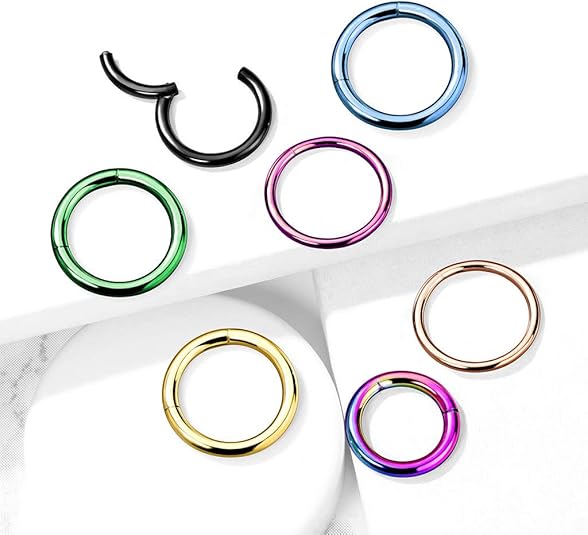 PVD OverHigh Quality Precision 316L Surgical Steel Hinged Segment Hoop...