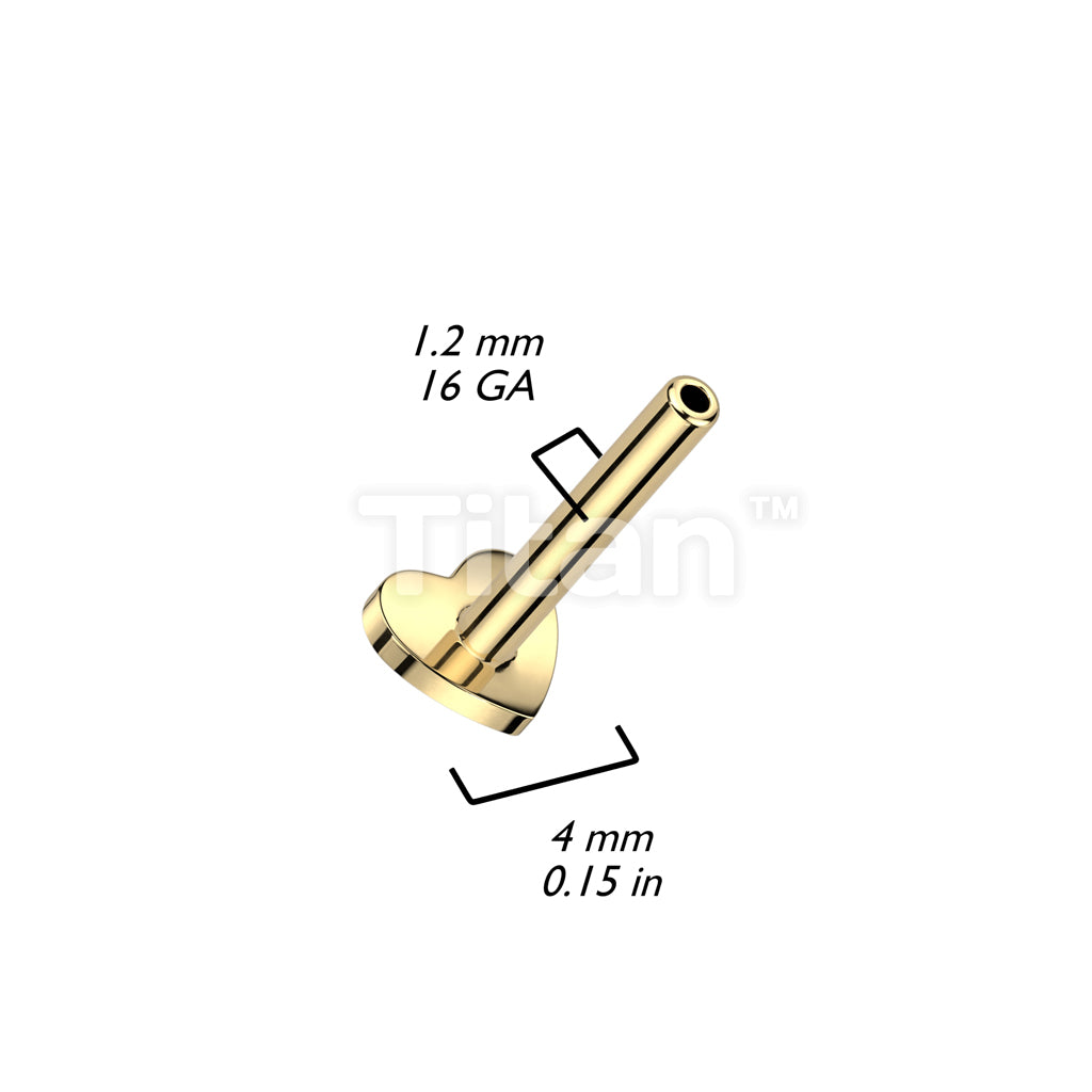 ASTM F136 Titanium Implant Grade Titanium Internally Threaded Flat Back... - Image 6