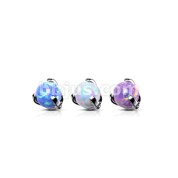 Claw Set Opal Internally Threaded 316L Surgical Steel Top Parts - Image 6
