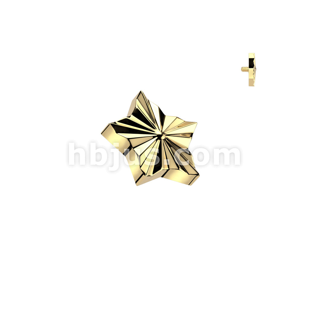 Implant Grade Titanium Internally Threaded Diamond Cut Star Top - Image 2