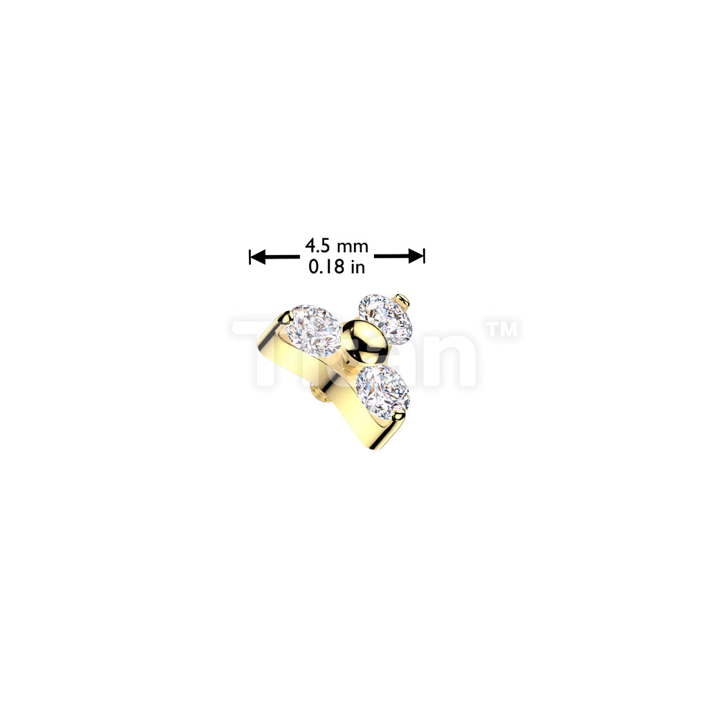 ASTM F136 Titanium Implant Grade Titanium Internally Threaded CZ... - Image 8