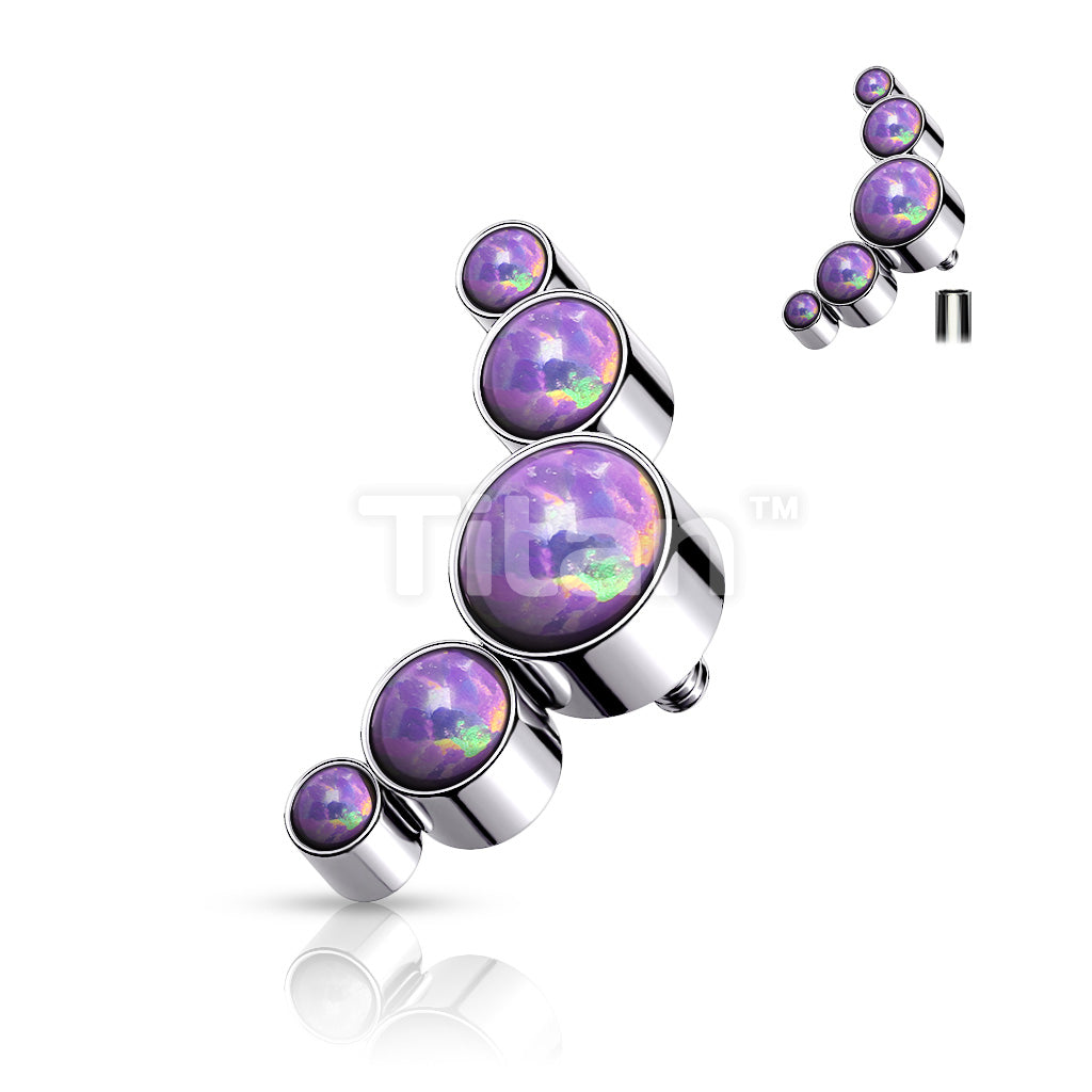 ASTM F136 Titanium Implant Grade Titanium Internally Threaded 5 Round... - Image 6