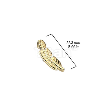 ASTM F136 Titanium Implant Grade Titanium Internally Threaded Leaf Top - Image 4