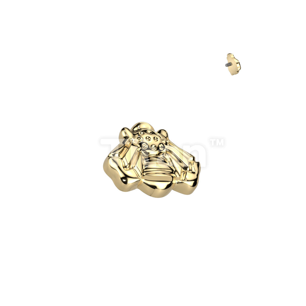 ASTM F136 Titanium Implant Grade Titanium Internally Threaded Bee Top - Image 2