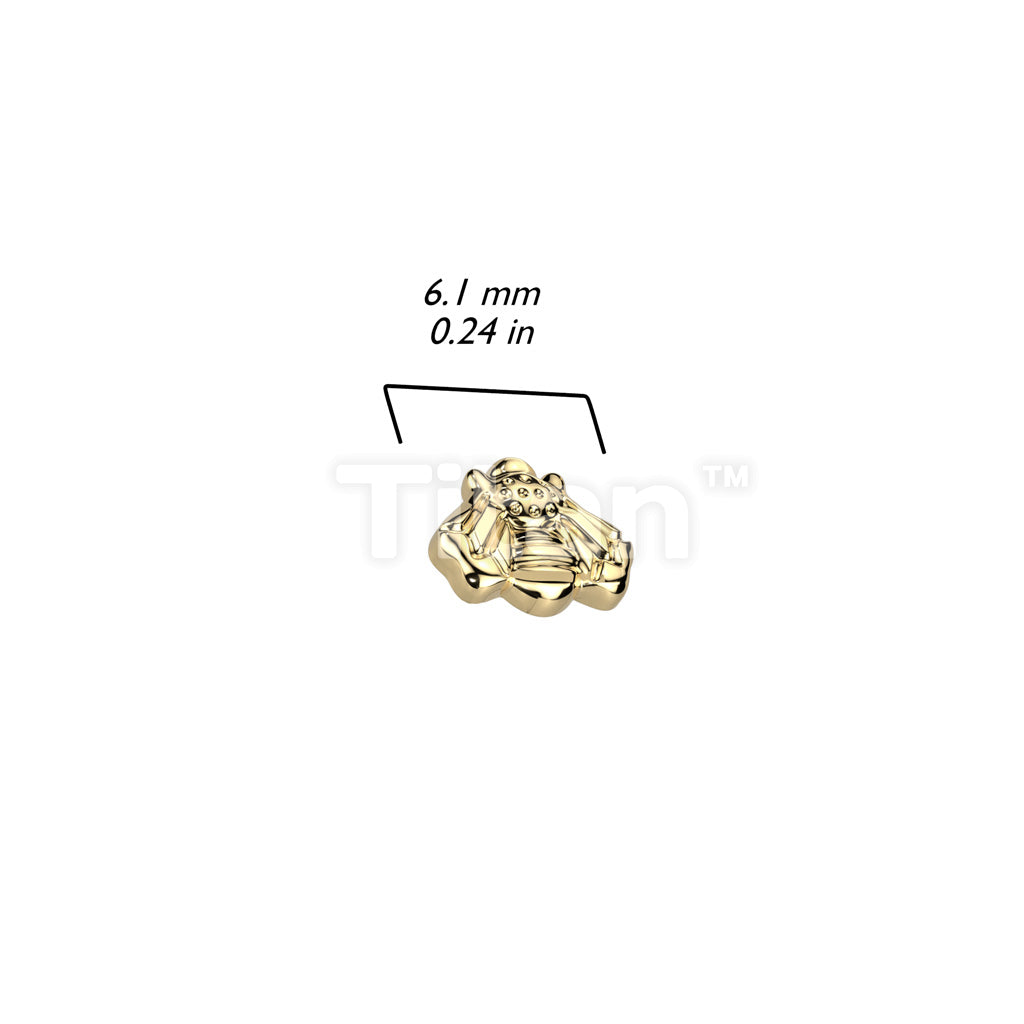 ASTM F136 Titanium Implant Grade Titanium Internally Threaded Bee Top - Image 4