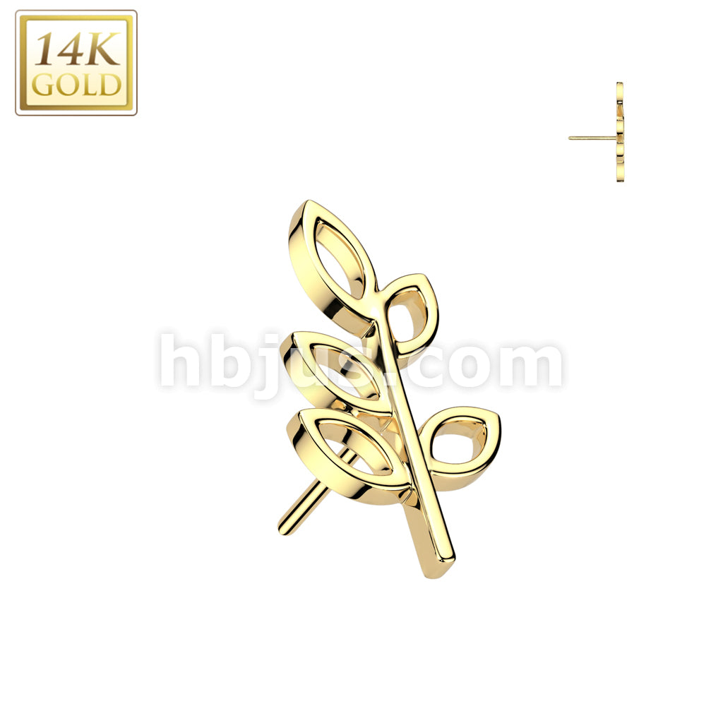 14KT  Gold 14K Gold Threadless Push In Hollow Olive Leaf Top - Image 3