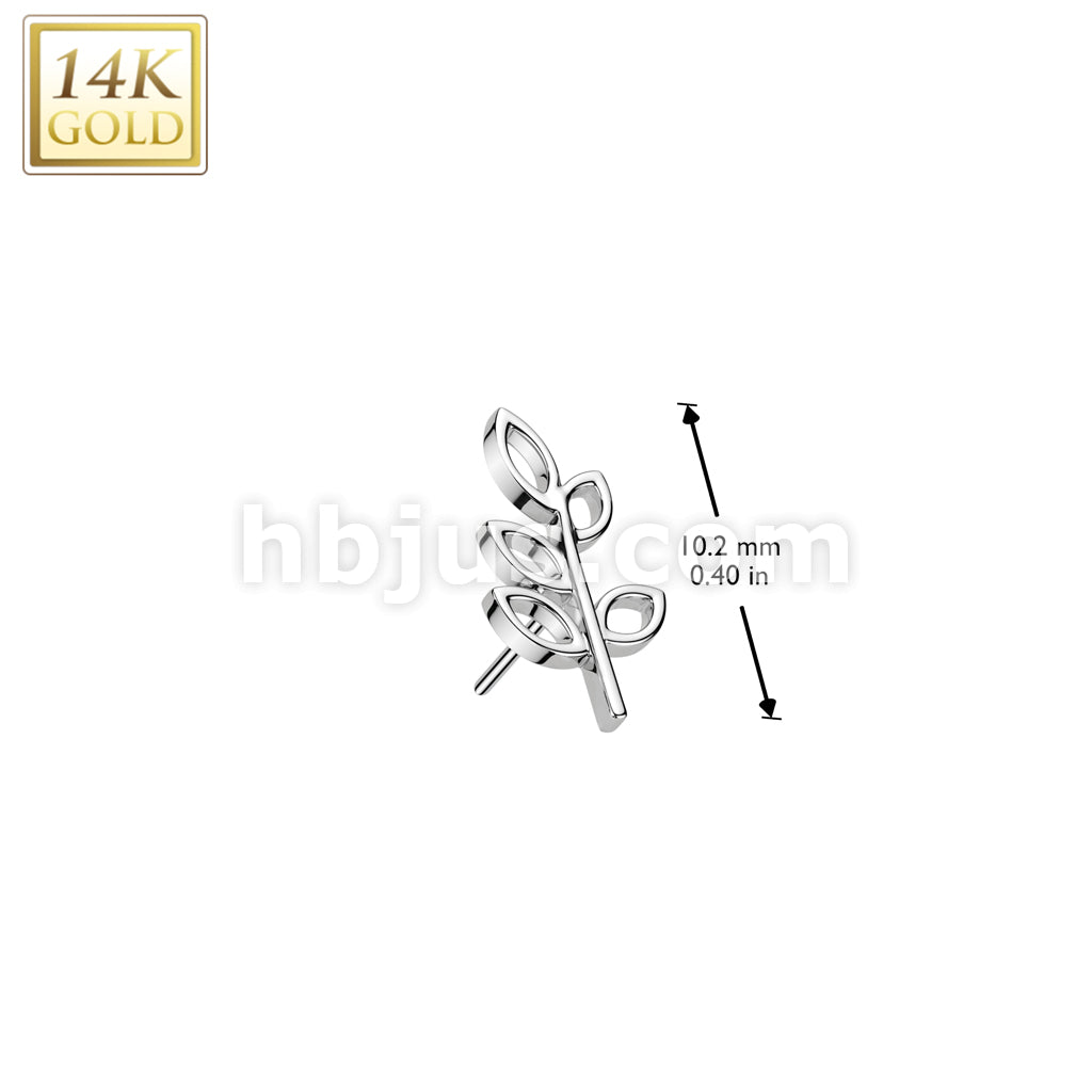 14K Gold Threadless Push In Hollow Olive Leaf Top - Image 4