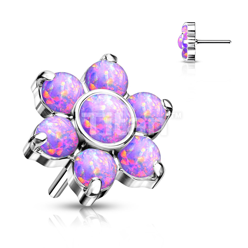 ASTM F136 Titanium Implant Grade Titanium Threadless Push In Opal... - Image 6