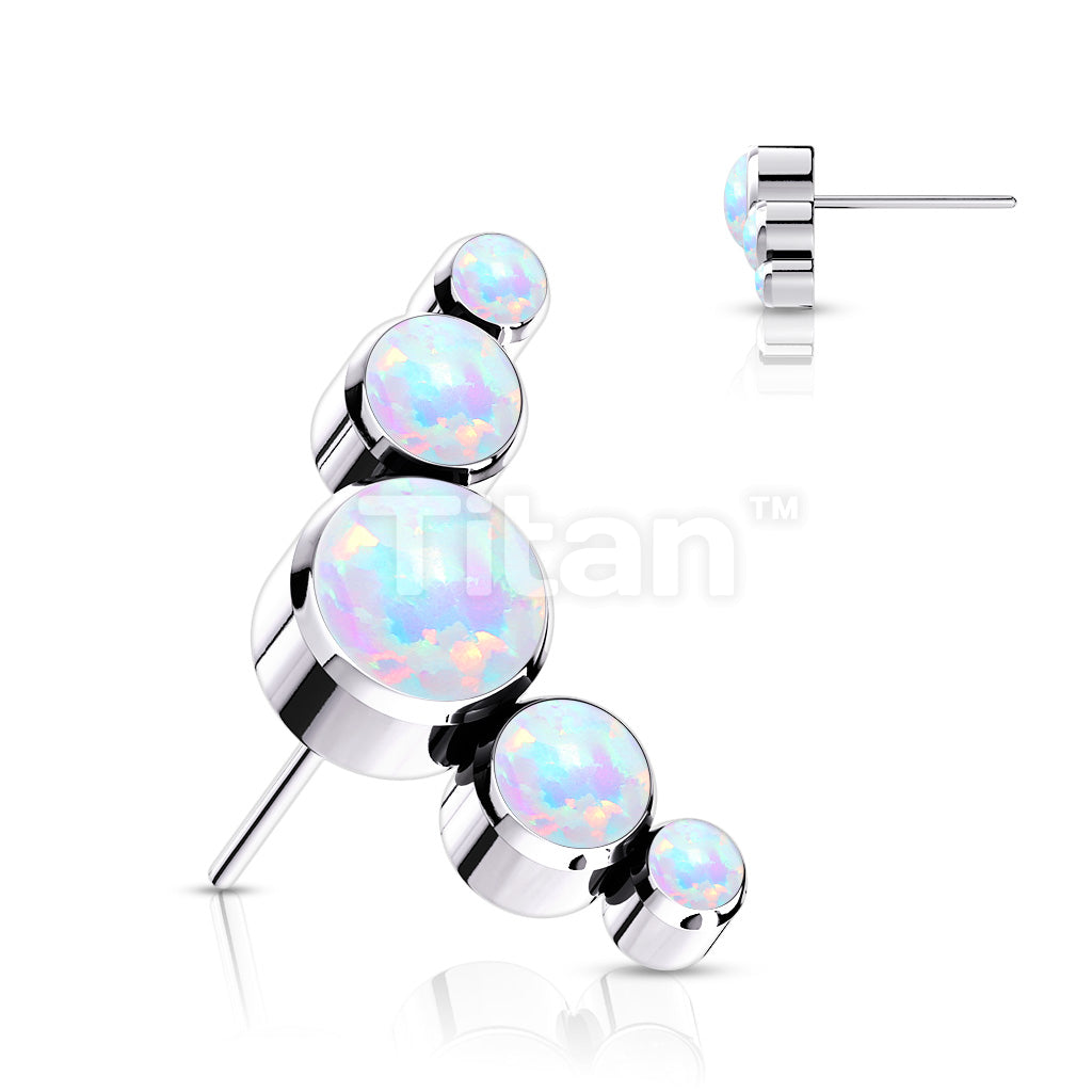 ASTM F136 Titanium Implant Grade Titanium Threadless Push In 5 Round... - Image 4