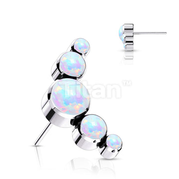 ASTM F136 Titanium Implant Grade Titanium Threadless Push In 5 Round... - Image 4