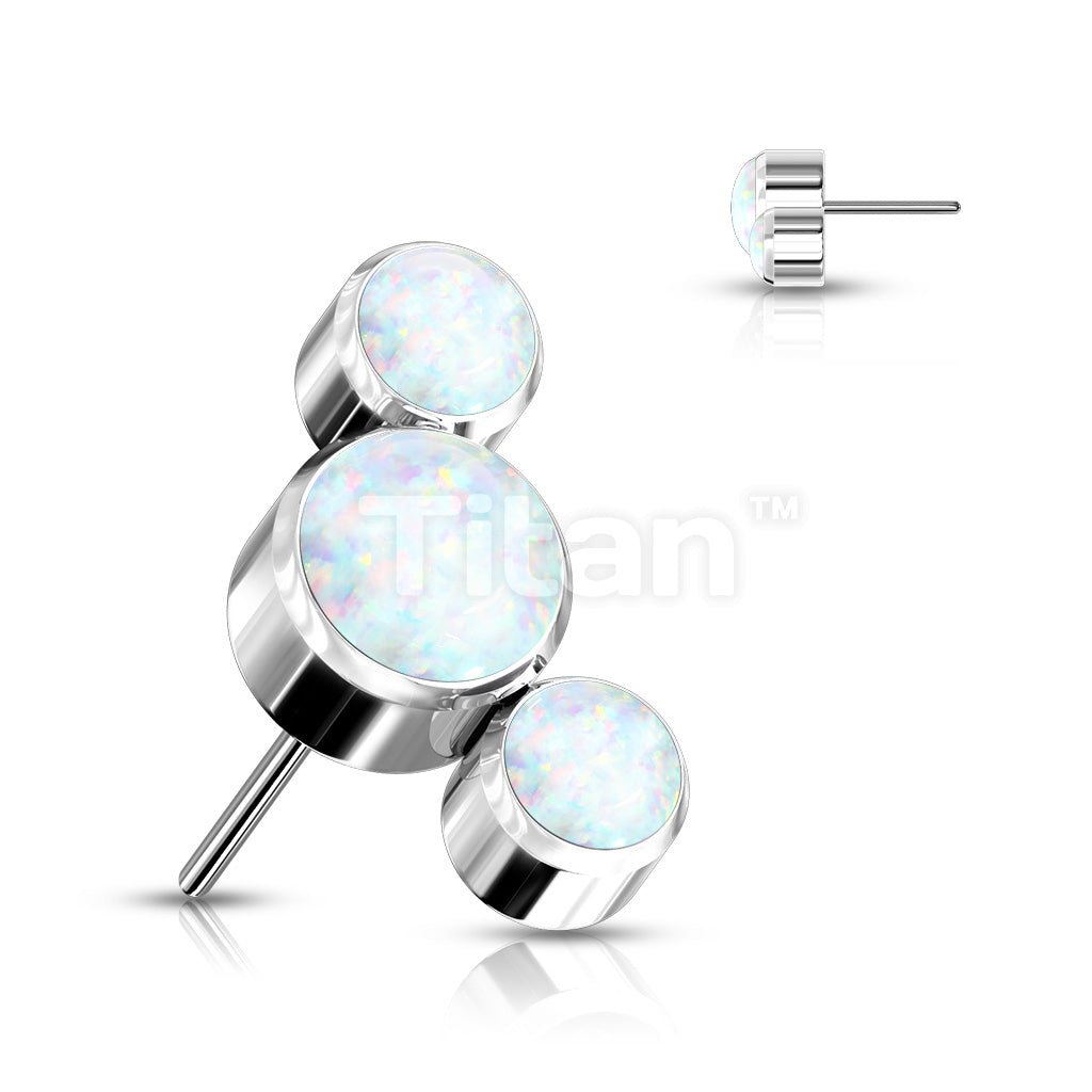 ASTM F136 Titanium Implant Grade Titanium Threadless Push In 3 Round... - Image 4