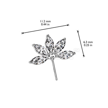 Implant Grade Titanium Threadless Push In 5 Marquise CZ Forward Facing Fan Top - Image 4