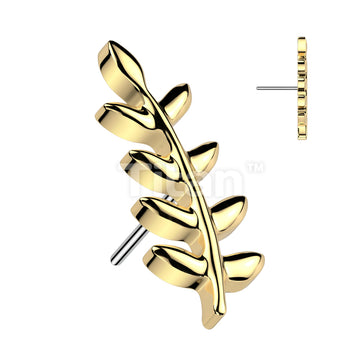 Implant Grade Titanium Threadless Push In Olive Leaf Top - Image 2